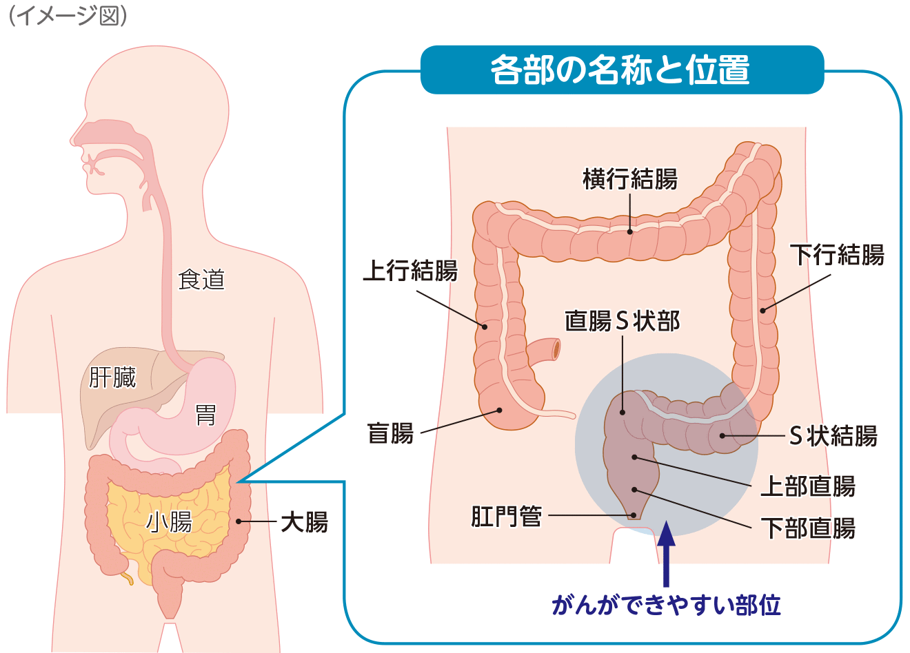 各部の名称と位置