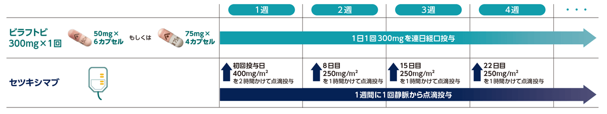 治療スケジュール