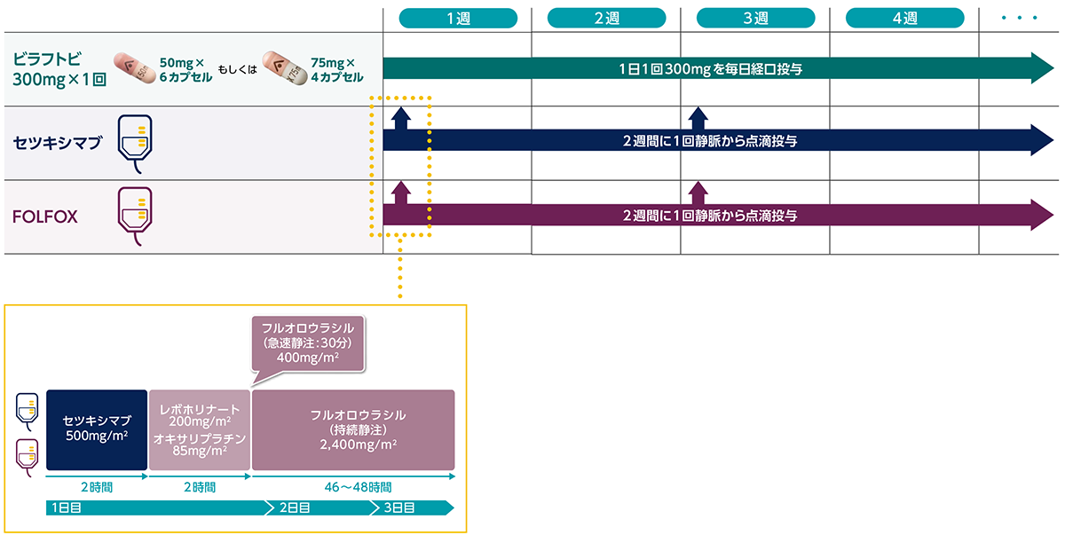 投与スケジュール