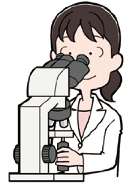 ビラフトビとメクトビ