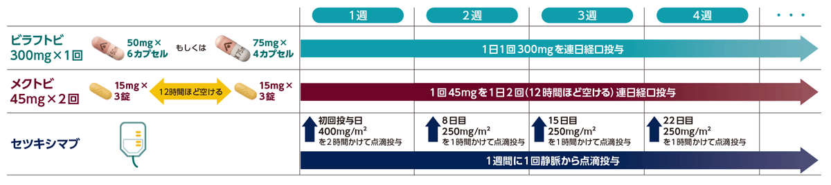 治療スケジュール