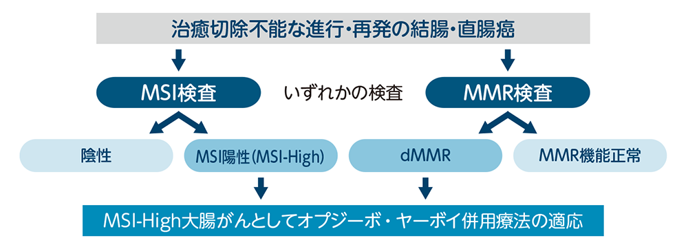 MSI-Highの検査とオプジーボ・ヤーボイ併用療法の適応