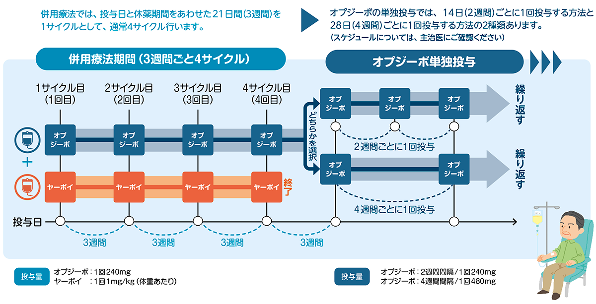 投与スケジュール