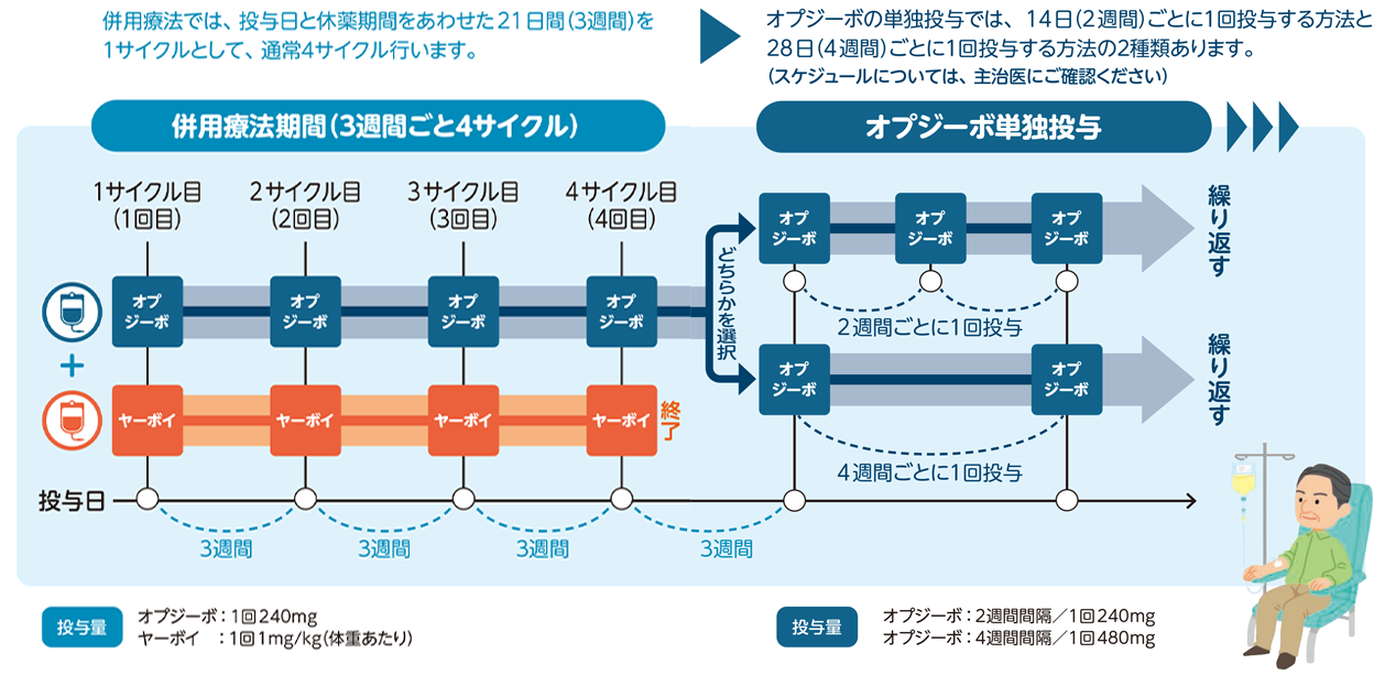 投与スケジュール