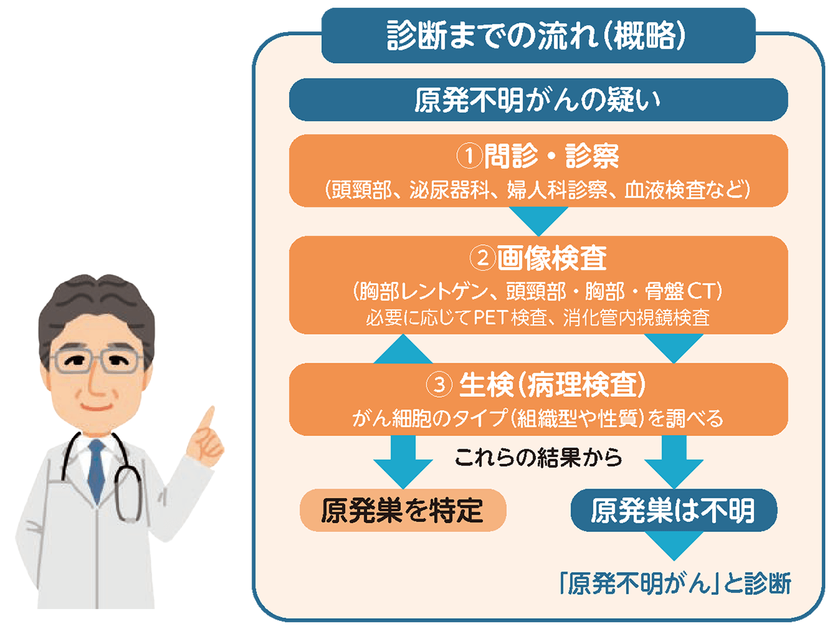 診断までの流れ