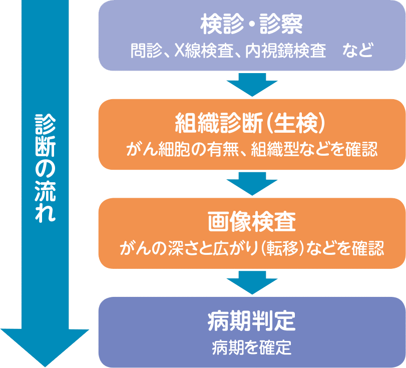 診断の流れ