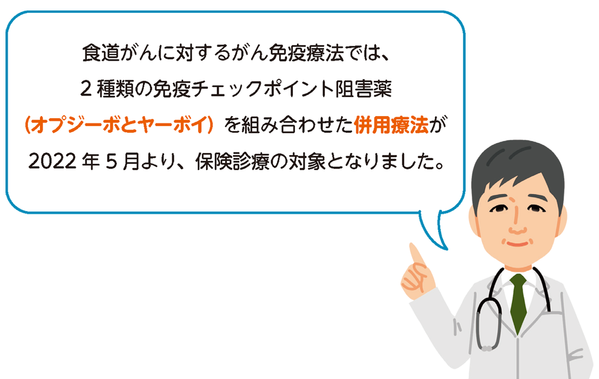 食道がんの治療と薬物療法