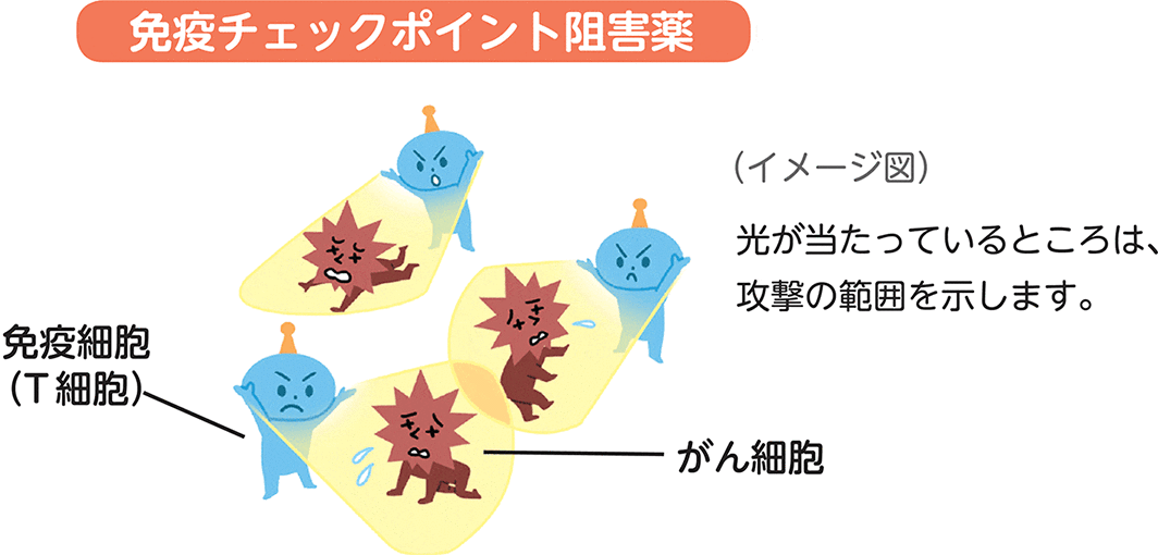 免疫チェックポイント阻害薬