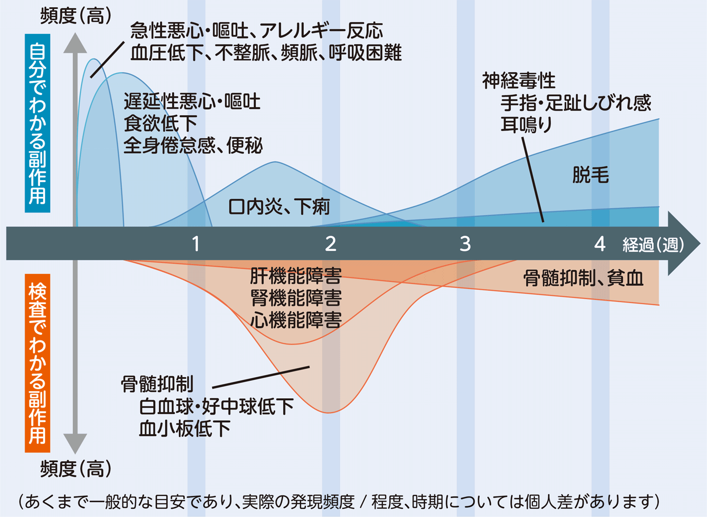 細胞障害性抗がん薬の主な副作用と発現時期
