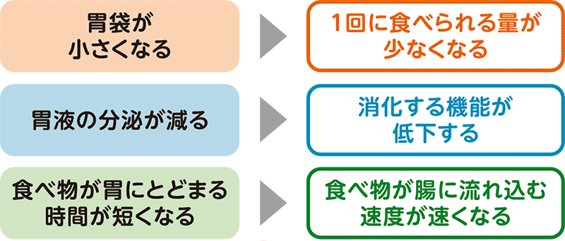 胃袋が小さくなる＞一回に食べられる量が少なくなる　胃液の分泌が減る＞消化する機能が低下する　食べ物が胃にとどまる時間が短くなる＞食べ物が腸に流れ込む速度が速くなる