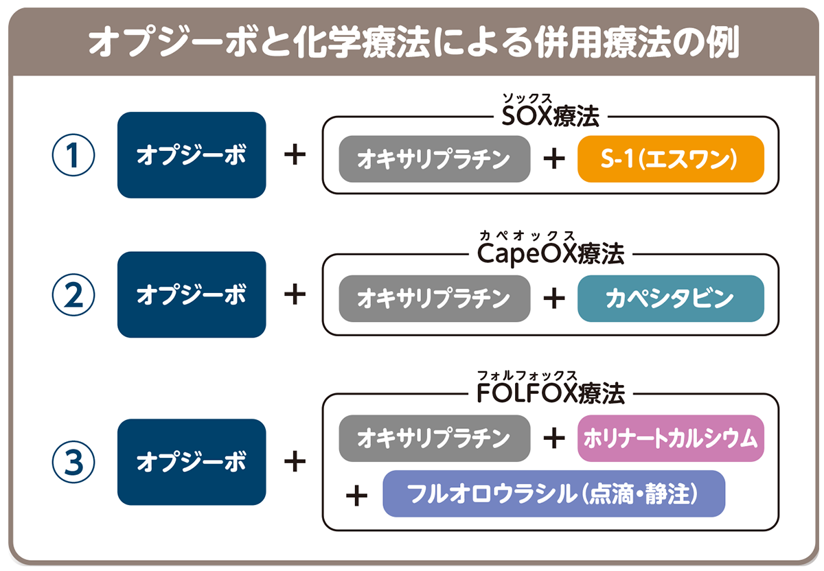 オプジーボと化学療法による併用療法の種類