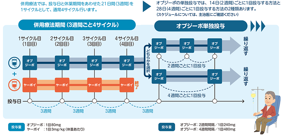 投与スケジュール