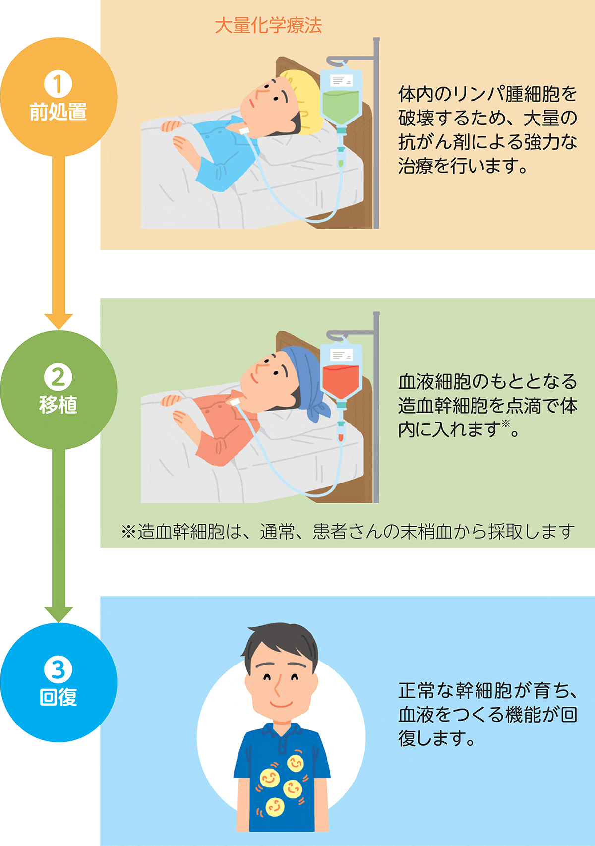 造血幹細胞移植の大まかなフローの図。最初に前処置として、大量化学療法（体内のリンパ腫細胞を破壊するため、大量の抗がん剤による強力な治療）を行います。次に血液細胞のもととなる造血幹細胞を点滴で体内に入れます。それにより、正常な幹細胞が育ち血液をつくる機能が回復します。
