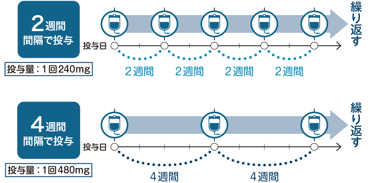 投与スケジュール