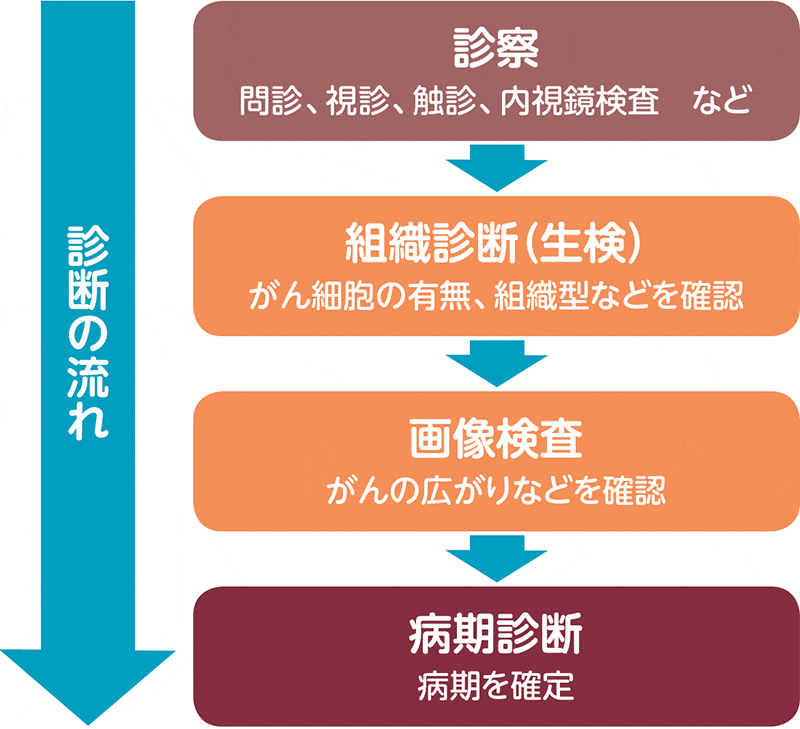診断の流れ