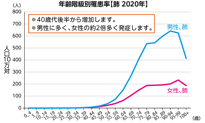 肺がんの罹患率を表したグラフ。肺がんの罹患率は40歳代後半から増加します。男性に多く、女性の3～4倍多く発症します。