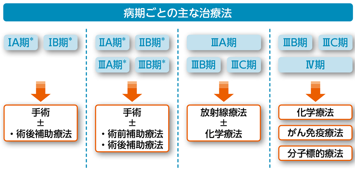 非小細胞肺がんの、病期ごとの主な治療法の概略図。ⅠA期では手術、ⅠB期・ⅡA期・ⅡB期・ⅢA期では手術±術後補助化学療法、ⅢA期・ⅢB期では放射線療法±化学療法、ⅢB期・Ⅳ期では化学療法・がん免疫療法・分子標的療法が、主な治療法となります。