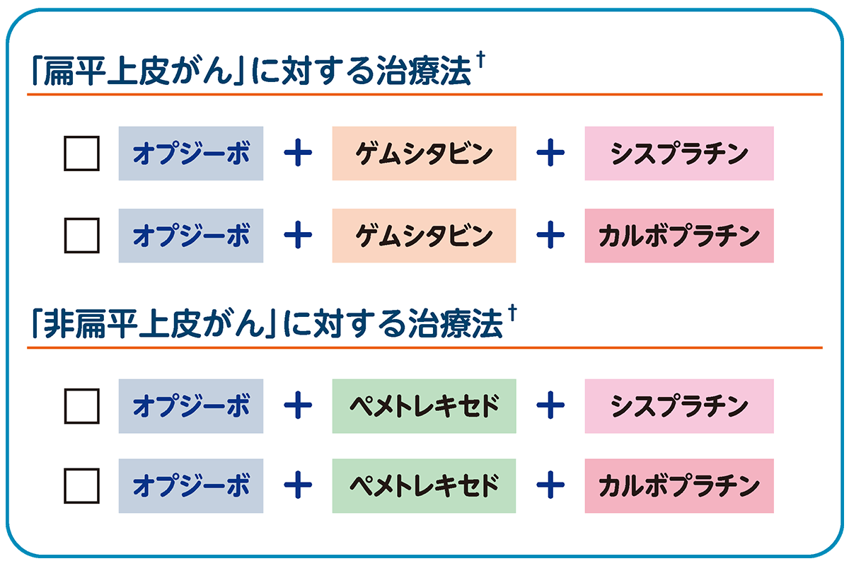 オプシーボと併用される抗がん剤