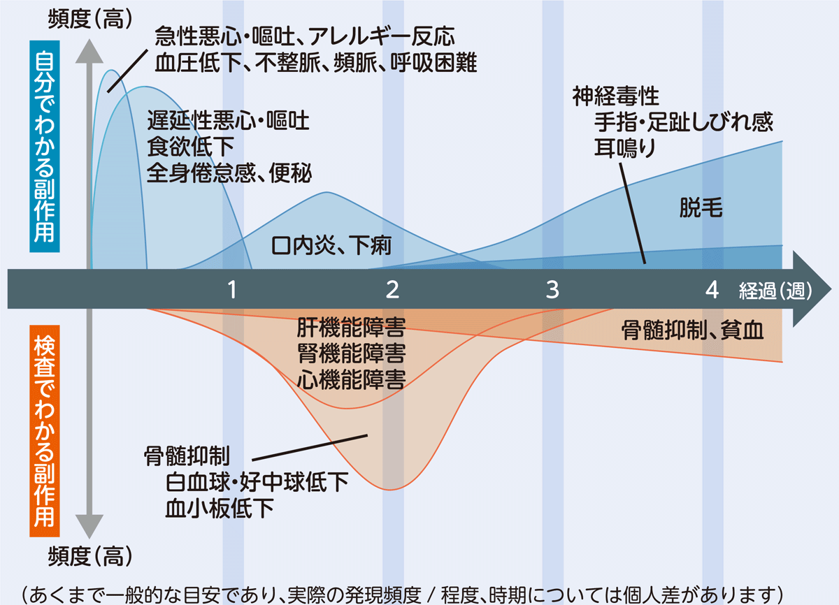細胞障害性抗がん薬の副作用と発現時期