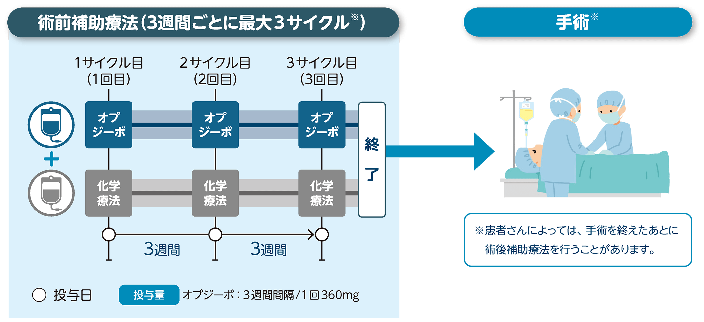 治療の進め方とスケジュール
