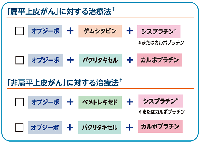 オプジーボと併用される抗がん剤