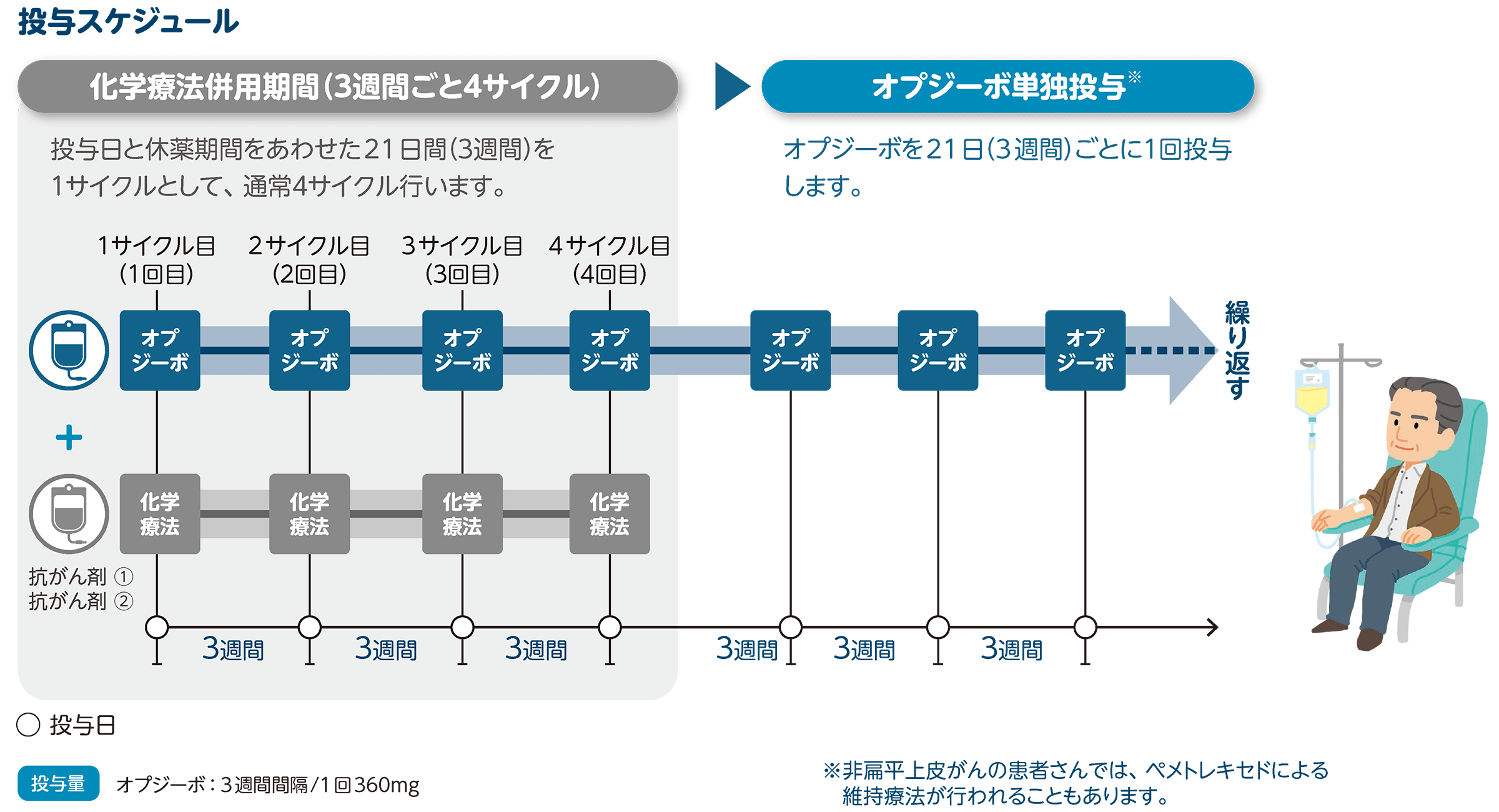治療の進め方とスケジュール