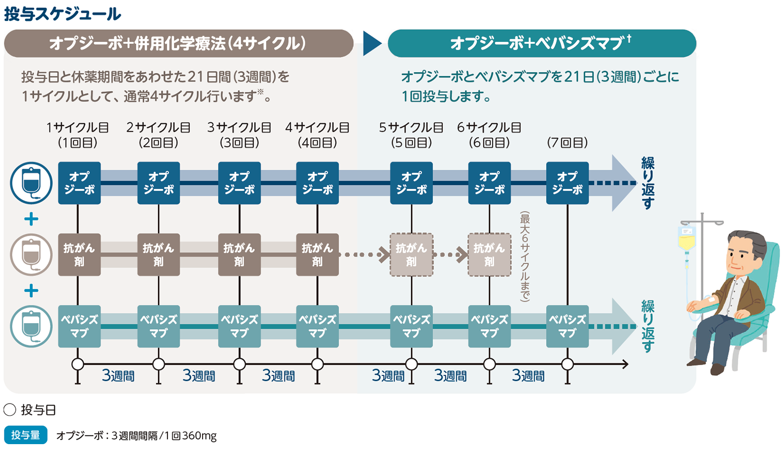 治療の進め方とスケジュール