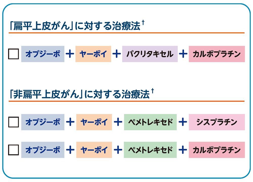 オプシーボと併用される抗がん剤