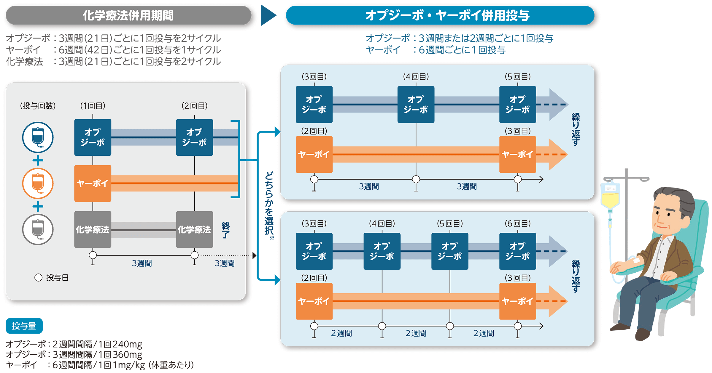 治療の進め方とスケジュール