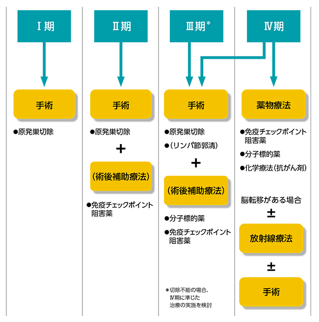 悪性黒色腫（メラノーマ）の病気ごとの主な治療法チャート図。1から２期では手術（+術後補助療法）。3期では、手術+リンパ節郭清（+術後補助療法）。4期では、薬物療法（がん免疫療法・分子標的療法・化学療法）、脳転移がある場合は放射線療法