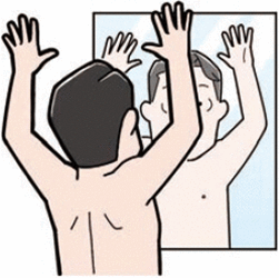 鏡に体を映して観察してみましょう。体の側面も忘れずに。