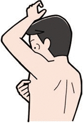 ご自身のリンパ節（わきの下や太ももの付け根）にしこりがないか、触ってチェックしましょう