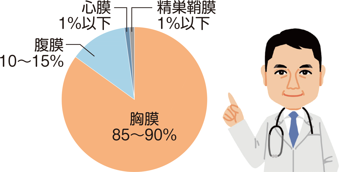 悪性中皮腫における発症部位別の割合