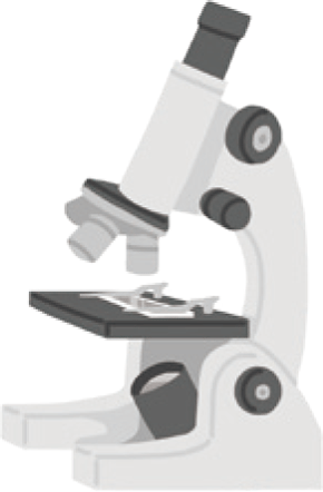 生検・病理検査