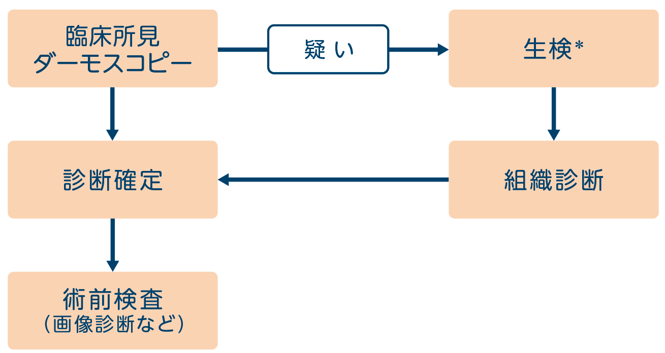 検査・診断の流れ