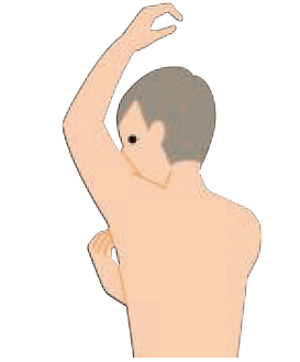 鏡に体を映して観察してみましょう。体の側面も忘れずに。