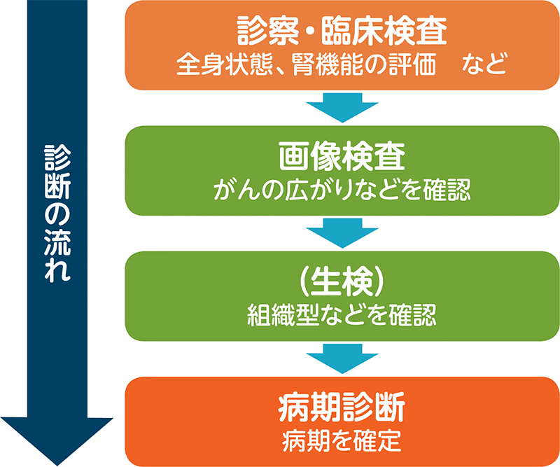 診断に必要な検査のフローの図。診断の流れは、はじめに診察・臨床検査（全身状態、腎機能の評価）を行い、画像検査でがんの広がりなどを確認した後、（場合によっては生検で組織型などを確認し）病期診断を行います。