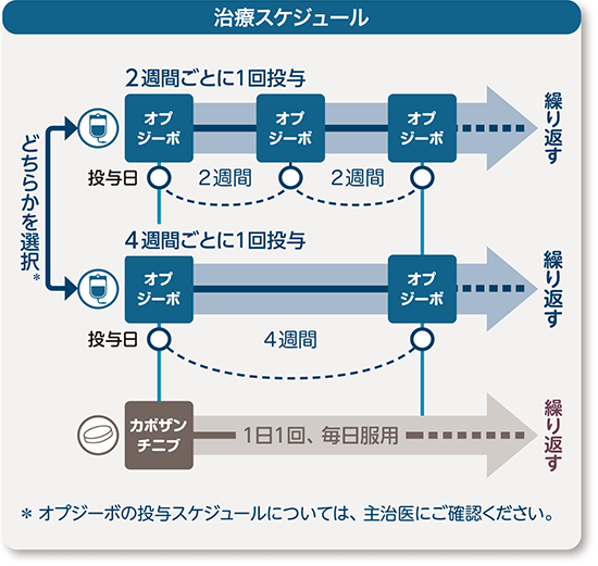 治療スケジュール