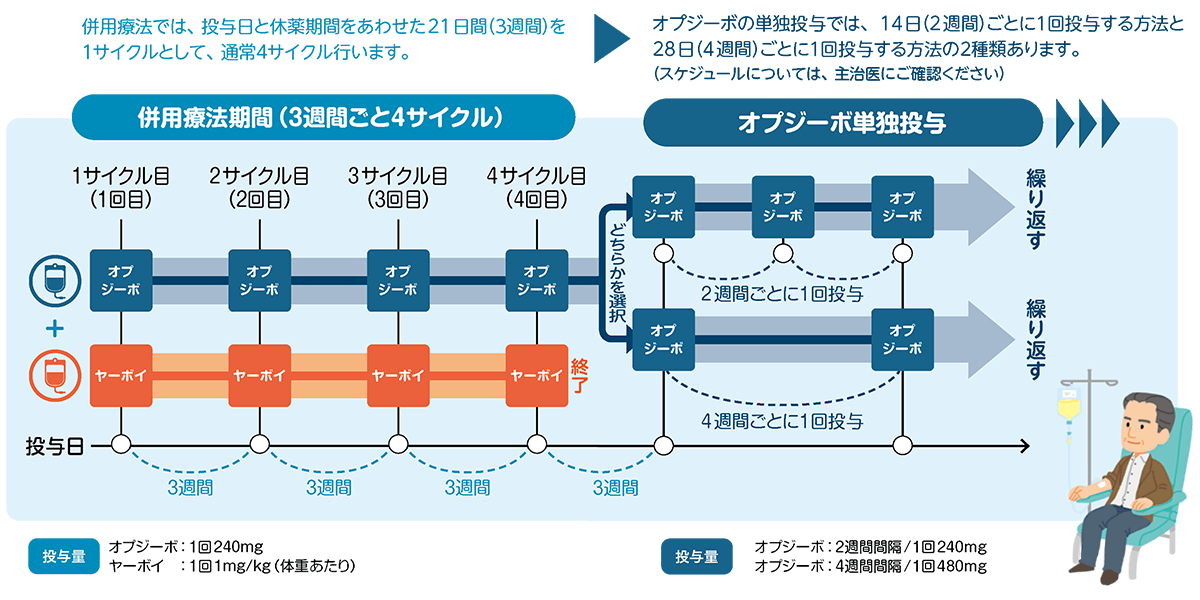 投与スケジュール