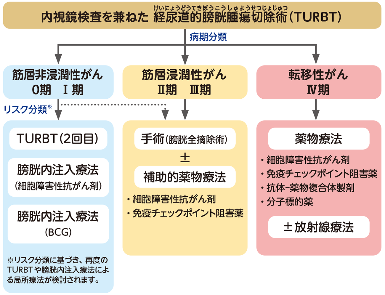 膀胱がん・治療の概略