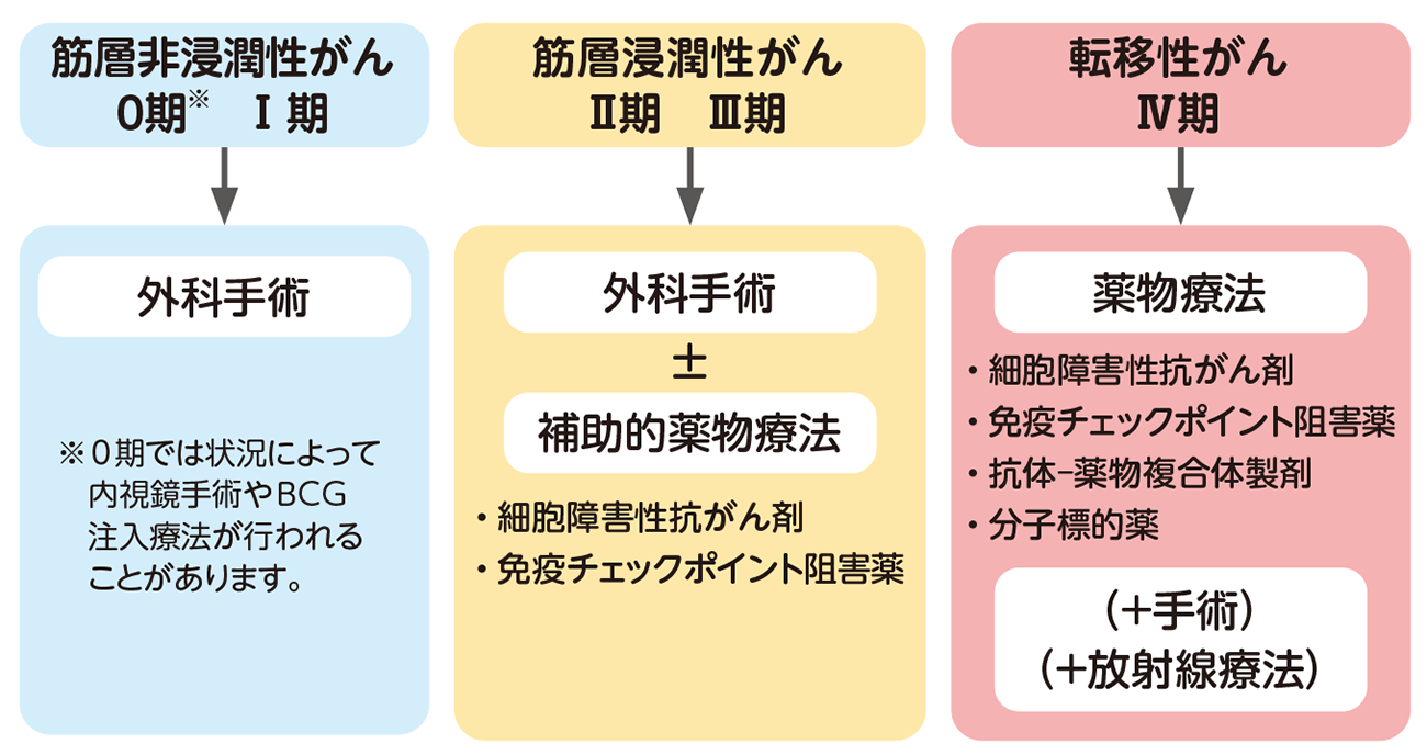 治療の概略（腎盂・尿管がん）