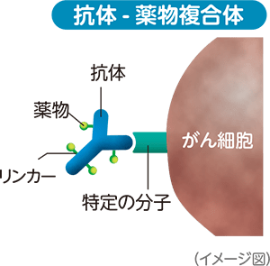 抗体-薬物複合体製剤