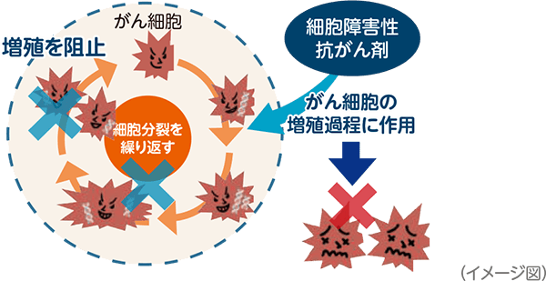 化学療法（細胞障害性抗がん剤）