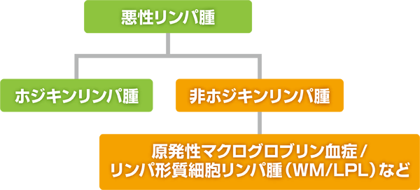悪性リンパ腫の種類図