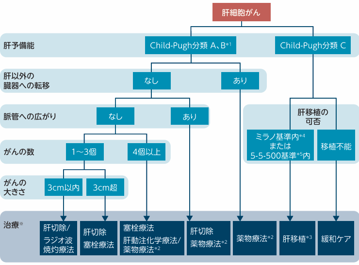 肝予備能・肝細胞がんの状態と治療の選択