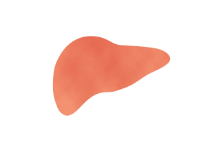 肝細胞がんサムネイル