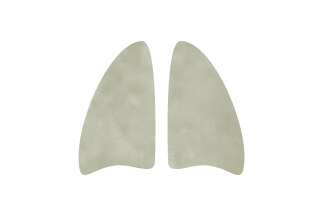 肺がんサムネイル