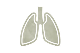 悪性胸膜中皮腫サムネイル