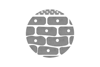 上皮系皮膚がんサムネイル