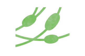 原発性マクログロブリン血症(WM/LPL)サムネイル